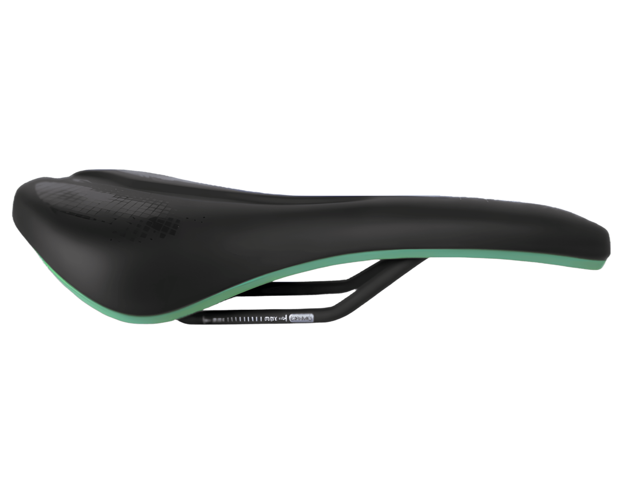 saddle